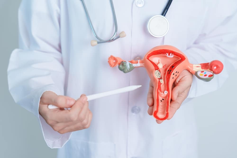A doctor pointing to a model of a uterus, explaining the hysterectomy process